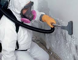 Why You Should Choose Our Mold Remediation Services in Semmes, AL